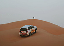 午夜测试版新增成就 解锁骑马伐木功能